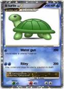 lil turtle