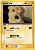 golden pug