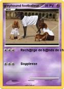 greyhound