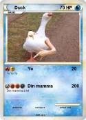 Duck
