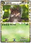 squirrel