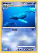 Whale