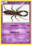 Mastigoproctus