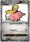spider cochon