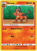 Torracat