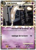 chat fumeur
