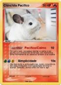 Chinchila