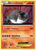 Ultra torracat