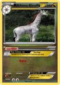 Albino Giraffe