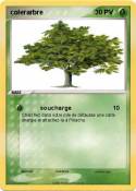 colerarbre