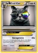 Cool Cat
