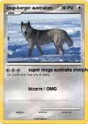 loup-berger aus