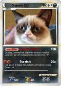 Grumpy Cat