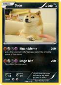 Doge