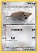 hey