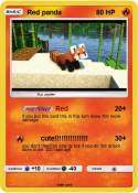 Red panda