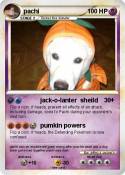 pachi
