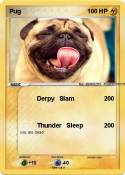 Pug
