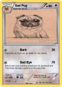 Sad Pug