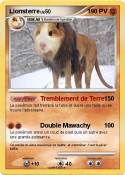 Lionsterre