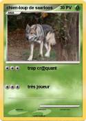 chien-loup de