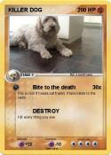 KILLER DOG