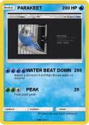 PARAKEET