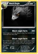 Black Eagle