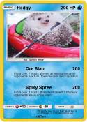 Hedgy