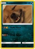 Buddyca