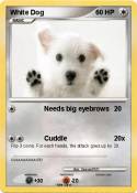 White Dog
