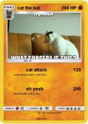 cat the boi