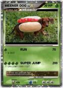WEENER DOG