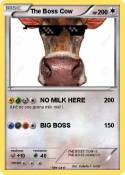 The Boss Cow