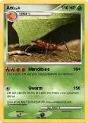 Ant