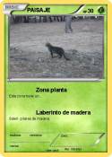 PAISAJE