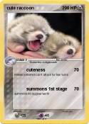 cute raccoon