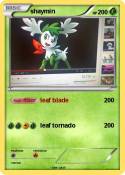 shaymin