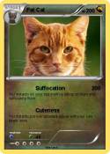 Fat Cat