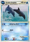 Double Dolphin