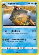 Big Blue Gill