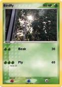 Birdfly