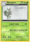 Buisselièvre