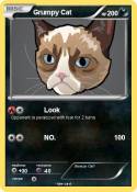 Grumpy Cat