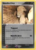 Mumified Dog