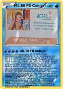 ML 80 FB Cubige