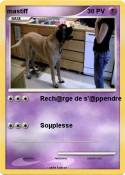 mastiff
