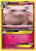 BINGUS
