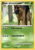 berger allemand