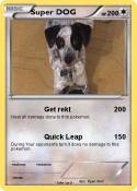 Super DOG